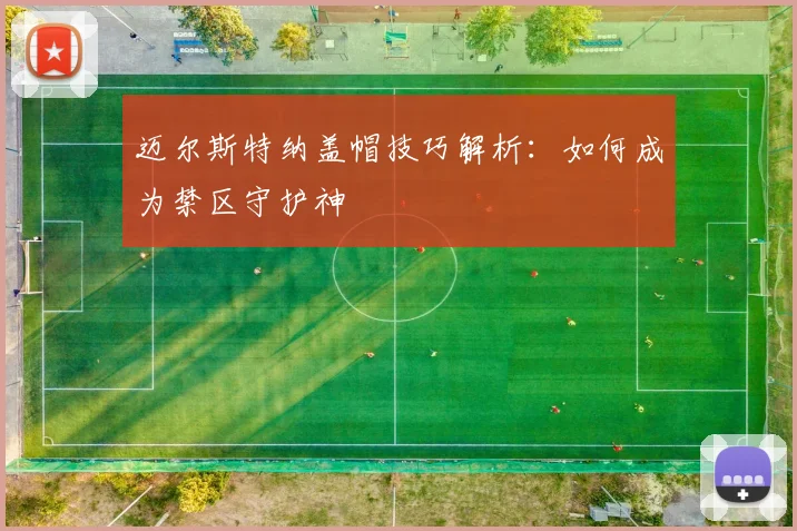 迈尔斯特纳盖帽技巧解析：如何成为禁区守护神